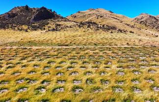  Masons Flat Forest, Hawarden