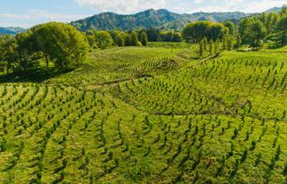 3558 Tiniroto Road, Hangaroa