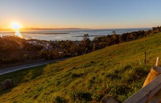 5 Chamerion Way, Atawhai