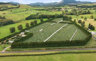 79 Woodlands Road, Waihi Beach
