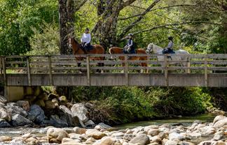 217 Harvey Road, Marahau