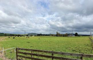 811 Taniwha Road, Waerenga