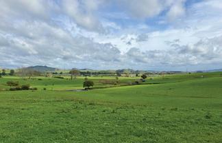 736  Taniwha Road, Waerenga