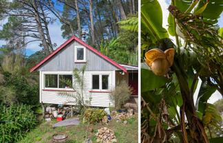 294 Tapu Coroglen Road, Tapu