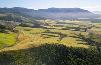  Tuscany Downs - 74 Glentui Bush Road, Oxford