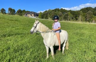 527a Whangaripo Valley Road, Wellsford