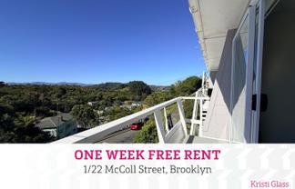 1/22 McColl Street, Vogeltown