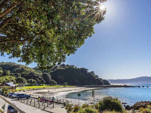 493 Karaka Bay Road, Karaka Bays