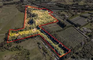 49 Lindemann Road, Katikati