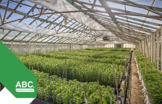 McBud Flowers - Business, Freehold & Family Home