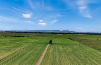 652 Makino Road, Feilding