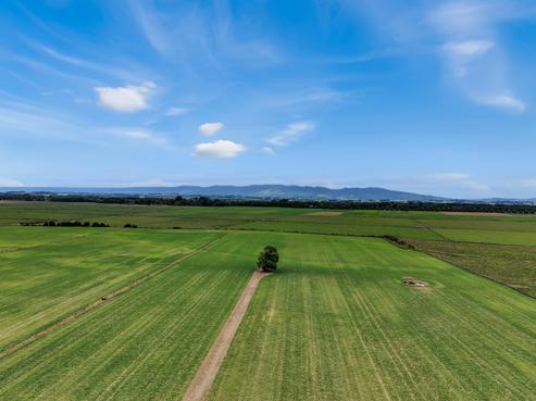 652 Makino Road, Feilding