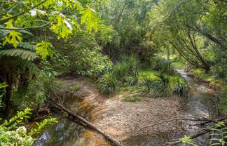106 Pebblebrooke Road, Mangawhai