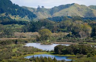 97 Koutunui Road, Athenree