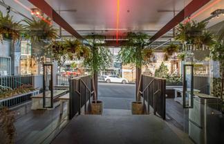 Flexible Multi‑Level Retail Opportunity in Grey Lynn 