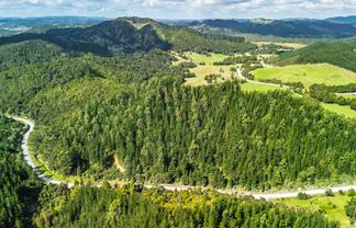  Pokapu Road, Moerewa
