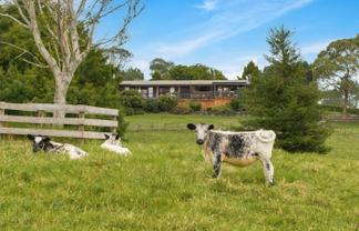 37 Lloyd Road, Riverhead