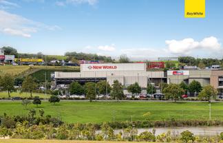 611/2A Munroe Lane, Albany