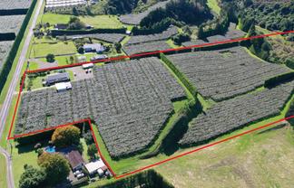 217 Maungarangi Road, Te Puke