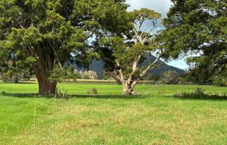 3567 Mangakahia Road, Poroti