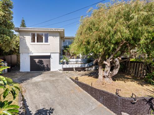 41 Lupin Road, Otaki