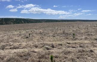  Toko Mouth Road, Toko Mouth