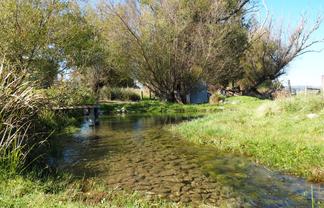 321 Clayton Road, Fairlie