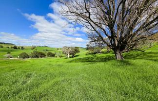  Morrison Road, Dargaville