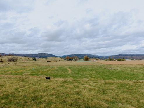 137 Matchett Road, Opotiki and Surrounds