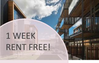 102A/41 Hopper Street, Te Aro