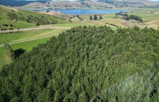  Waihola Hill Road, Clarendon