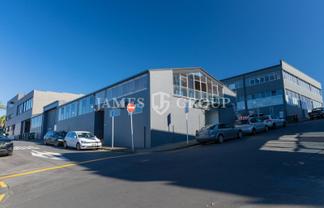 VERSATILE CORNER SHOWROOM | GREY LYNN