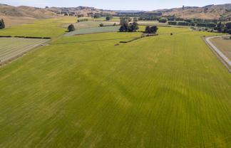 1231 Longbush Road, Carterton