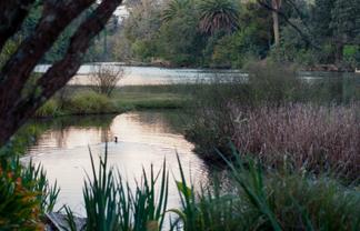 75A&B Ngapuhi Road, Remuera