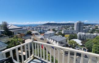 3 Maarama Cres (Top Flat), Aro Valley