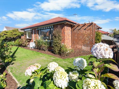 1/183 Colombo Street, Sydenham