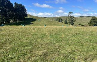 Near 741 Upland Road, Egmont Village