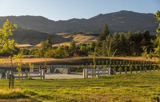 111 Fitzpatrick Road, Dalefield