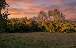 0n Umutekai Road, Hillsborough