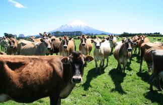 2105and212 Hastings Road, Stratford