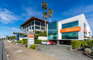 Functional Open Plan Office - Takapuna
