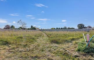 38A Benn Street, Amberley