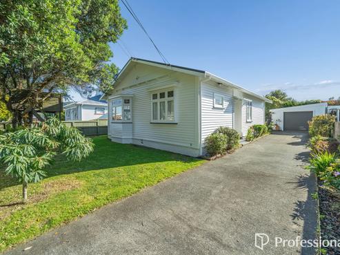 17 Lincoln Avenue, Epuni