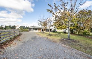 363 Brandon Hall Road, Bulls