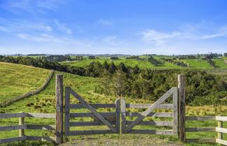 Lot 4/186 Metcalfe Road, Matakohe