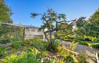 238 Howick Road, Witherlea