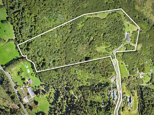 240 Three Oaks Drive, Dairy Flat