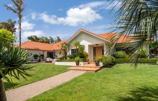 18 The Mew, Dannemora