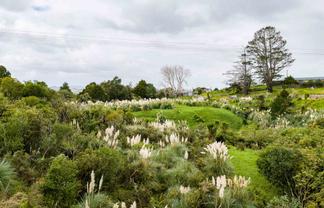 3044 Paparoa-Oakleigh Road, Paparoa