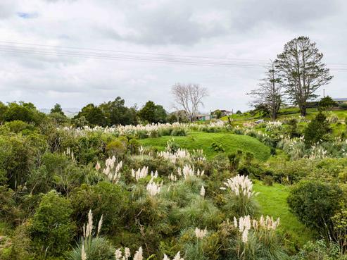 3044 Paparoa-oakleigh Road, Paparoa